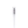Tubo LED T8 9W 1.440Lm 6000K Vidrio 60Cm Conexión 1 Extremo 40.000H HO-T8GL60-1E-9W-CW