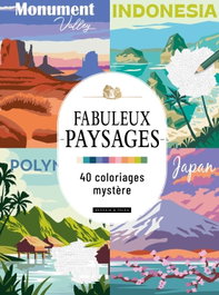DESSAIN ET TOLRA, Fabuleux paysages.40 coloriages mystere
