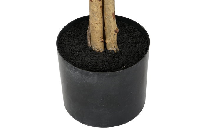 DKD Home Decor Árbol Ficus Verde 50x50x150 cm