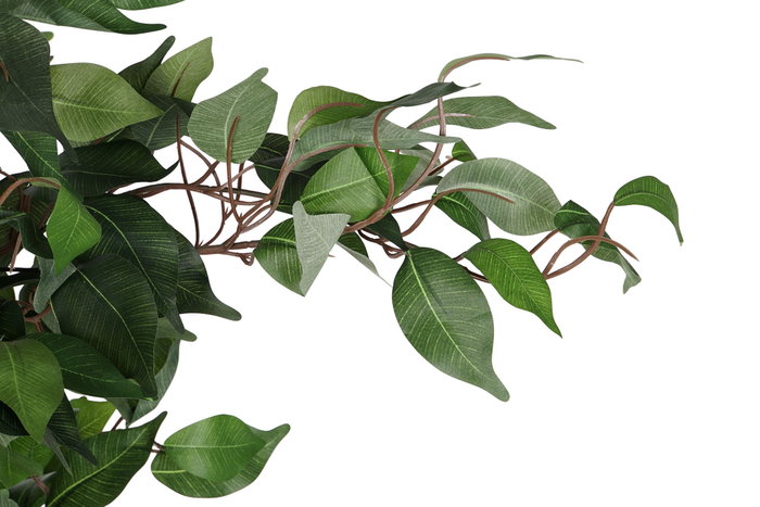 DKD Home Decor Árbol Ficus Verde 50x50x150 cm