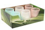DKD Home Decor Vela de Cristal Glaseado Surtida, 140 g
