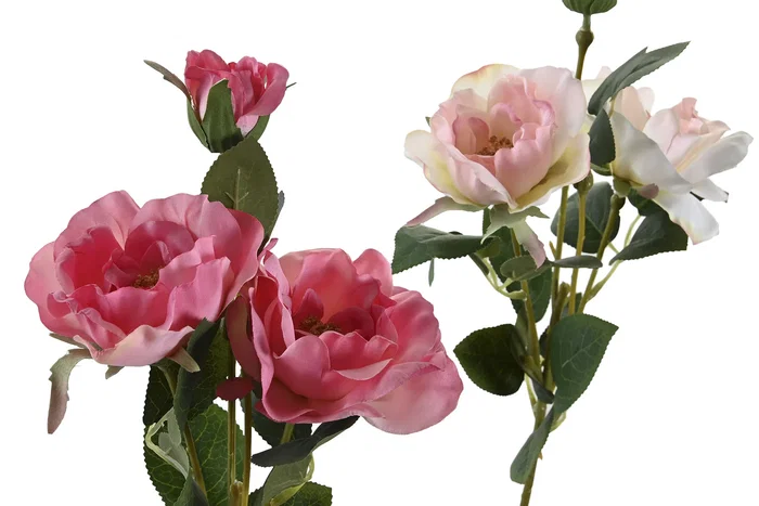 DKD Home Decor Flor Melocoton Rosa 20 x 51 x 20 cm (24 Unidades)