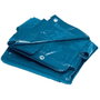 Riegolux Toldo Azul Multiuso 4x6 90Grs