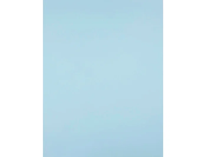 Liderpapel Cartulina Azul 50x65 cm 180g/m2 (125 unidades) Liderpapel Cartulina Azul 50x65 cm 180g/m2 (125 unidades)
