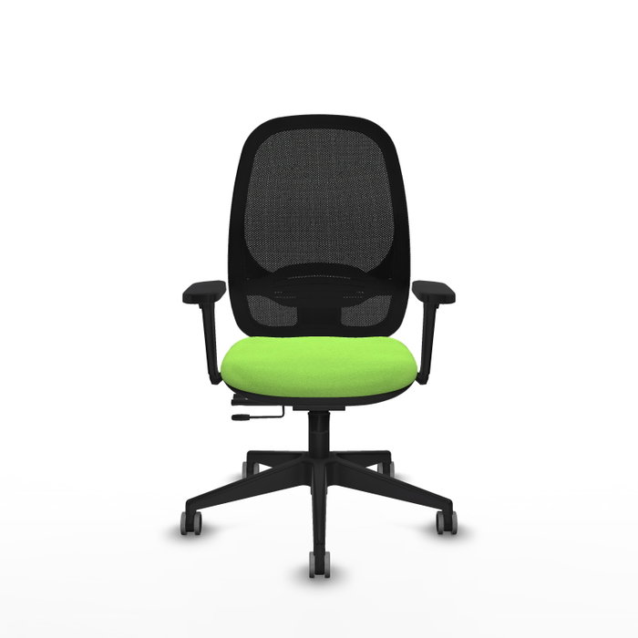 PIQUERAS Y CRESPO Silla de oficina Cilanco con mecanismo Sincro/Traslack, Pistacho y Negro PIQUERAS Y CRESPO Silla de oficina Cilanco con mecanismo Sincro/Traslack, Pistacho y Negro