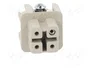 WIELAND Conector HDC Hembra Tamaño 3 de 4 Pines