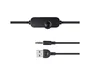 Trust Polo 2.0 Altavoces Compactos con Alimentación USB y 4W RMS, Negro