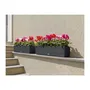 Lechuza LEC4008789156129 Jardinera Balconera casita 80 Kit Completo Granito 12L