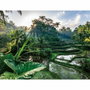 Ravensburger Puzzle de 2000 piezas En el corazón de Bali