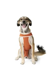 Luna & Milo Chaleco salvavidas Copperbody de cobre clásico talla 9