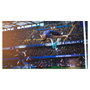 Electronic Arts FC 24 PlayStation 5