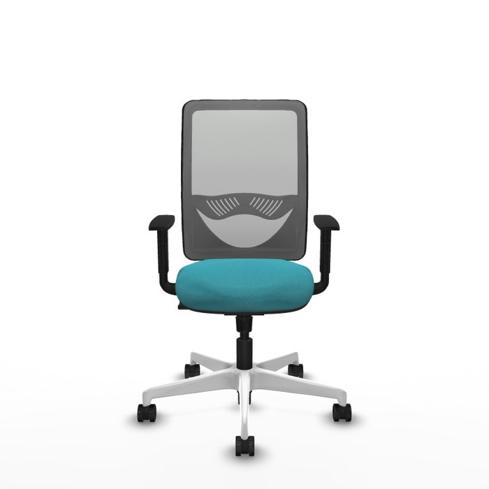 PIQUERAS Y CRESPO Silla de oficina Zulema con mecanismo Sincro, Tela Turquesa y Malla Gris PIQUERAS Y CRESPO Silla de oficina Zulema con mecanismo Sincro, Tela Turquesa y Malla Gris