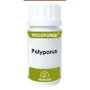 EQUISALUD Holofungi Polyporus 50 cápsulas