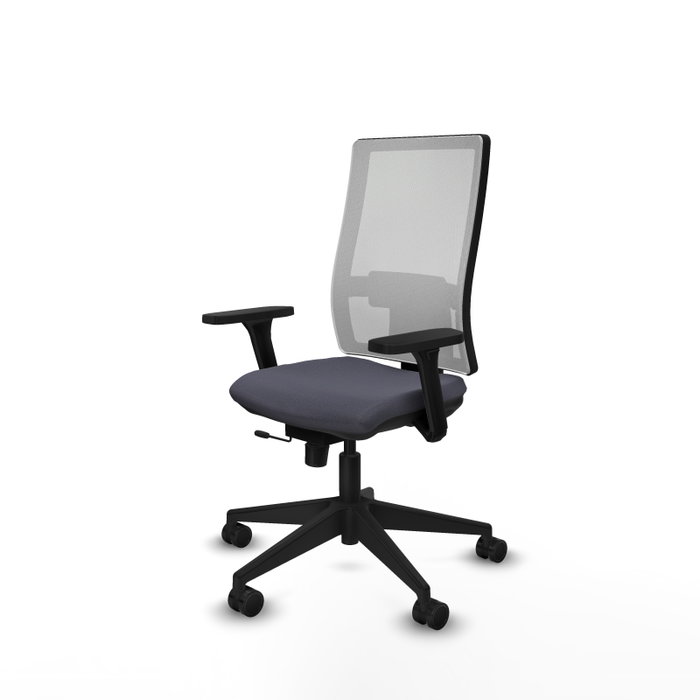 PIQUERAS Y CRESPO Silla de oficina Horna con mecanismo Sincro/Traslack, Gris oscuro y Blanco PIQUERAS Y CRESPO Silla de oficina Horna con mecanismo Sincro/Traslack, Gris oscuro y Blanco