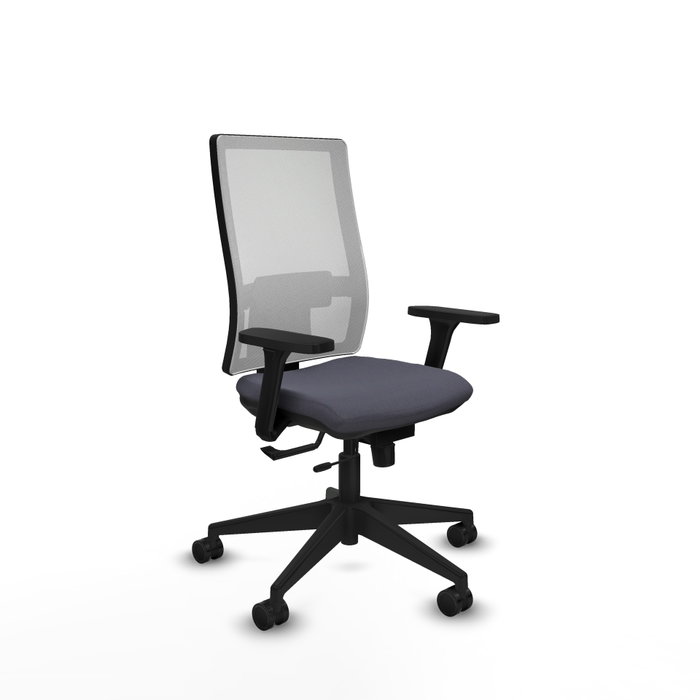PIQUERAS Y CRESPO Silla de oficina Horna con mecanismo Sincro/Traslack, Gris oscuro y Blanco PIQUERAS Y CRESPO Silla de oficina Horna con mecanismo Sincro/Traslack, Gris oscuro y Blanco
