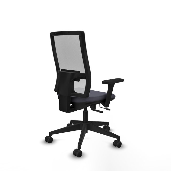 PIQUERAS Y CRESPO Silla de oficina Horna con mecanismo Sincro/Traslack, Gris oscuro y Blanco PIQUERAS Y CRESPO Silla de oficina Horna con mecanismo Sincro/Traslack, Gris oscuro y Blanco