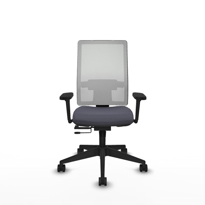 PIQUERAS Y CRESPO Silla de oficina Horna con mecanismo Sincro/Traslack, Gris oscuro y Blanco PIQUERAS Y CRESPO Silla de oficina Horna con mecanismo Sincro/Traslack, Gris oscuro y Blanco