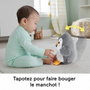 Fisher-Price Peluche Musical Pingüino Anda y Aletea