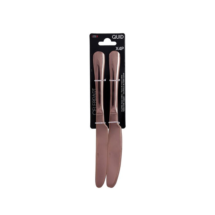 Set 4 Cuchillos Mesa Acero Inox Celebrart Quid 5 mm-22,7 cm