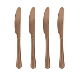 Set 4 Cuchillos Mesa Acero Inox Celebrart Quid 5 mm-22,7 cm