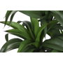DKD Home Decor Planta de PE y Resina Verde y Beige 50x50x102 cm