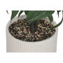 DKD Home Decor Planta de PE y Resina Verde y Beige 50x50x102 cm
