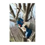 Bosch Professional Pro Pruner GGP 12V-25 con 2 baterías y 1 cargador