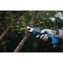 Bosch Professional Pro Pruner GGP 12V-25 con 2 baterías y 1 cargador