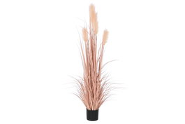 DKD Home Decor Planta Decorativa Tipo Plumero Coral y Negro 45x45x150 cm
