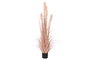 DKD Home Decor Planta Decorativa Tipo Plumero Coral y Negro 45x45x150 cm