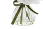 DKD Home Decor Planta Poliéster Cristal 17x20x24 Surtida