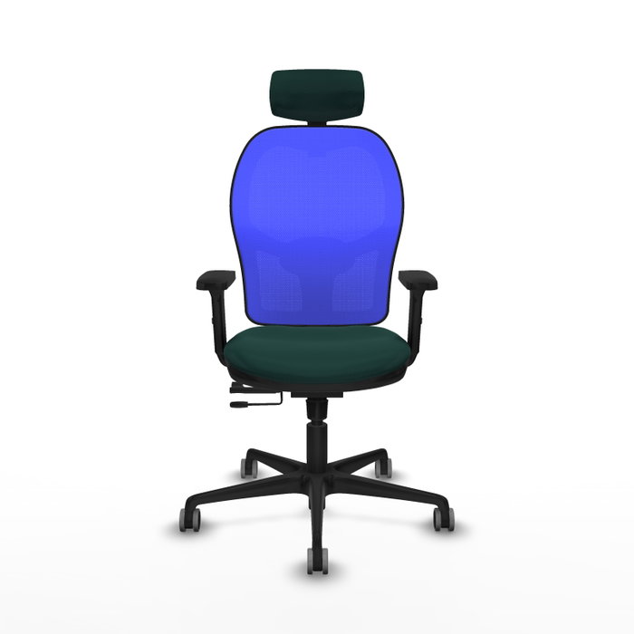 PIQUERAS Y CRESPO Silla de oficina Jorquera Verde botella y Azul PIQUERAS Y CRESPO Silla de oficina Jorquera Verde botella y Azul