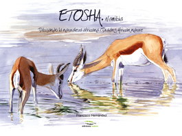 RODENO, ETOSHA, NAMIBIA: DIBUJANDO LA NATURALEZA AFRICANA, Francisco Hernández - RODENO