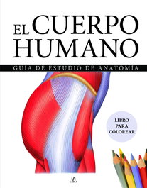 LIBSA El Cuerpo Humano: Guía de estudio de anatomía