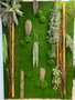 Oplante Manto de Musgo Sintético para Jardín Vertical Artificial, Verde, Fibra Natural, 100 x 100 cm