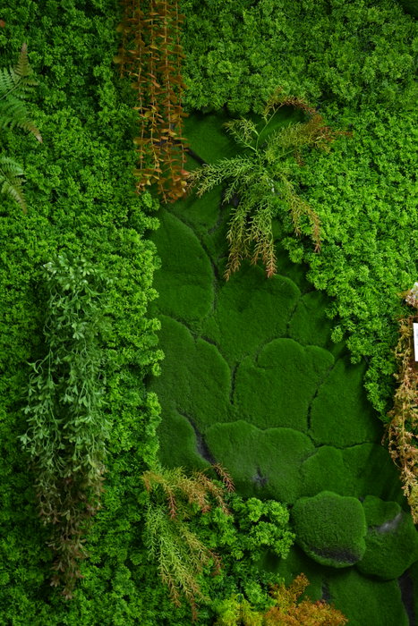 Oplante Manto de Musgo Sintético para Jardín Vertical Artificial, Verde, Fibra Natural, 100 x 100 cm Oplante Manto de Musgo Sintético para Jardín Vertical Artificial, Verde, Fibra Natural, 100 x 100 cm