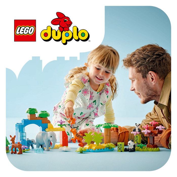 LEGO DUPLO Base de Construcción Verde 10460 LEGO DUPLO Base de Construcción Verde 10460