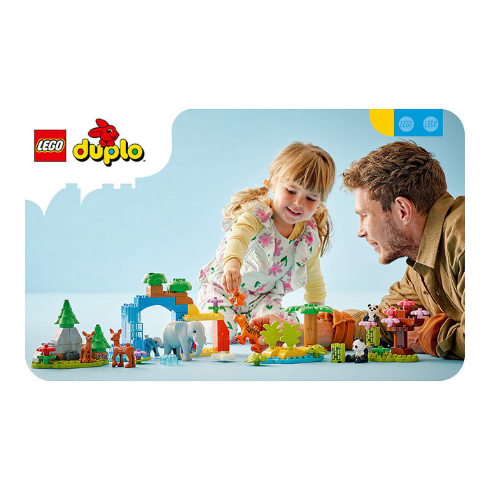 LEGO DUPLO Base de Construcción Verde 10460 LEGO DUPLO Base de Construcción Verde 10460