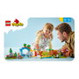 LEGO DUPLO Base de Construcción Verde 10460