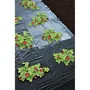 Nature NAT8711338320150 Película de acolchado para fresas, 1.4 x 5 m, microperforada negra, 50 µ de espesor