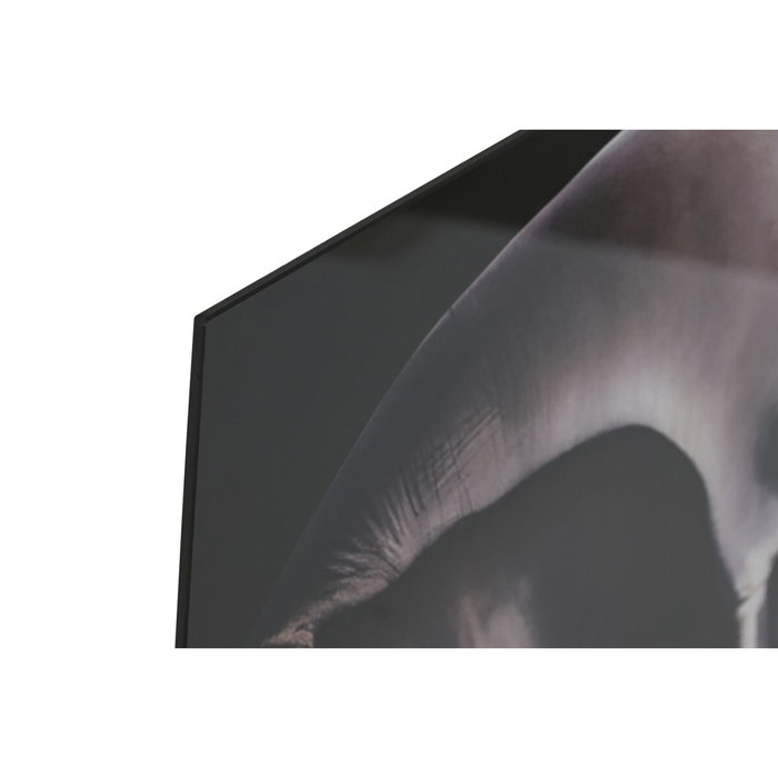 DKD Home Decor Cuadro de Cristal Templado Fotoimpreso 150x100 cm