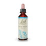 Bach Original Rock Water 20 ml