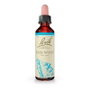 Bach Original Rock Water 20 ml