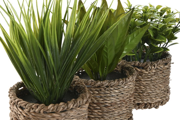 DKD Home Decor Planta de PE y Fibra Surtida Verde y Natural