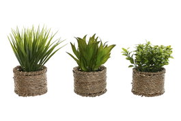 DKD Home Decor Planta de PE y Fibra Surtida Verde y Natural