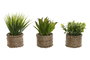 DKD Home Decor Planta de PE y Fibra Surtida Verde y Natural