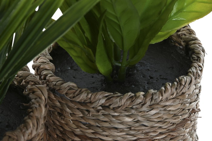 DKD Home Decor Planta de PE y Fibra Surtida Verde y Natural