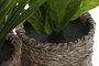 DKD Home Decor Planta de PE y Fibra Surtida Verde y Natural