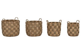 DKD Home Decor Cesta Balines Set de 4 Jacintos de Agua y Metal Natural 44 x 44 x 48 cm