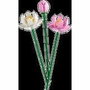 LEGO Flores de Loto 40647